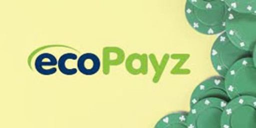 Ecopayz15-min