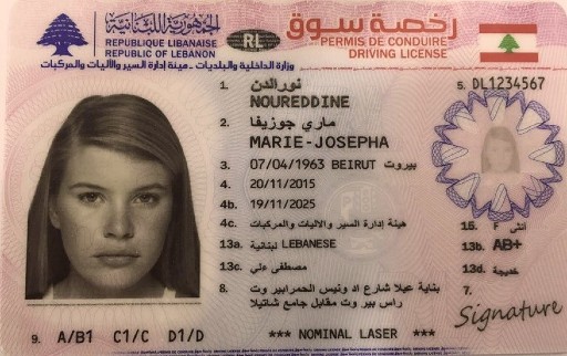 Drivers Licence